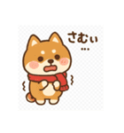 元気いっぱい冬の豆柴（個別スタンプ：18）
