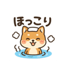 元気いっぱい冬の豆柴（個別スタンプ：22）