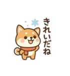 元気いっぱい冬の豆柴（個別スタンプ：24）