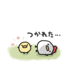 使いやすい＊にわとりサン＆ひよこサン＊冬（個別スタンプ：11）