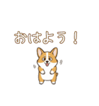 しょぼしょぼコーギー、オータム（個別スタンプ：1）