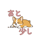 しょぼしょぼコーギー、オータム（個別スタンプ：4）