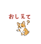 しょぼしょぼコーギー、オータム（個別スタンプ：8）