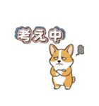 しょぼしょぼコーギー、オータム（個別スタンプ：9）