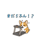 しょぼしょぼコーギー、オータム（個別スタンプ：19）