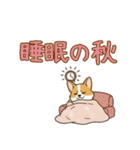 しょぼしょぼコーギー、オータム（個別スタンプ：20）