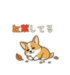 しょぼしょぼコーギー、オータム（個別スタンプ：23）