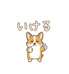 しょぼしょぼコーギー、オータム（個別スタンプ：30）