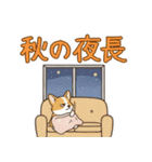 しょぼしょぼコーギー、オータム（個別スタンプ：33）