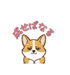 しょぼしょぼコーギー、オータム（個別スタンプ：36）