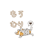 しょぼしょぼコーギー、オータム（個別スタンプ：39）