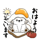飛び出すシーズー犬 「よく使う言葉」5（個別スタンプ：1）