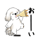 飛び出すシーズー犬 「よく使う言葉」5（個別スタンプ：2）