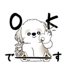 飛び出すシーズー犬 「よく使う言葉」5（個別スタンプ：3）