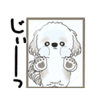 飛び出すシーズー犬 「よく使う言葉」5（個別スタンプ：5）