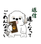 飛び出すシーズー犬 「よく使う言葉」5（個別スタンプ：6）