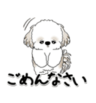 飛び出すシーズー犬 「よく使う言葉」5（個別スタンプ：7）