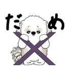 飛び出すシーズー犬 「よく使う言葉」5（個別スタンプ：8）