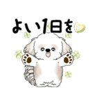 飛び出すシーズー犬 「よく使う言葉」5（個別スタンプ：9）