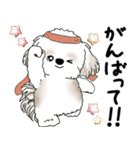 飛び出すシーズー犬 「よく使う言葉」5（個別スタンプ：11）