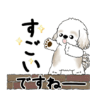 飛び出すシーズー犬 「よく使う言葉」5（個別スタンプ：12）