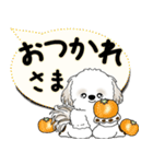 飛び出すシーズー犬 「よく使う言葉」5（個別スタンプ：13）