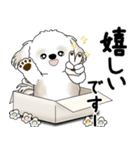 飛び出すシーズー犬 「よく使う言葉」5（個別スタンプ：14）