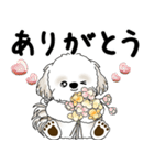 飛び出すシーズー犬 「よく使う言葉」5（個別スタンプ：15）