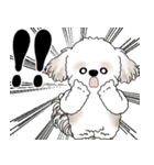 飛び出すシーズー犬 「よく使う言葉」5（個別スタンプ：17）