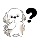 飛び出すシーズー犬 「よく使う言葉」5（個別スタンプ：18）