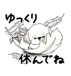 飛び出すシーズー犬 「よく使う言葉」5（個別スタンプ：20）