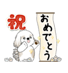 飛び出すシーズー犬 「よく使う言葉」5（個別スタンプ：21）
