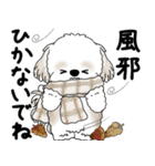 飛び出すシーズー犬 「よく使う言葉」5（個別スタンプ：22）