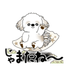 飛び出すシーズー犬 「よく使う言葉」5（個別スタンプ：23）