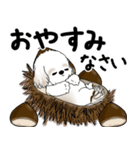 飛び出すシーズー犬 「よく使う言葉」5（個別スタンプ：24）