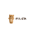 動く♡超ちいさい子ねこの日常（個別スタンプ：13）