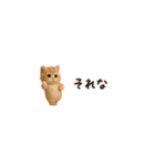 動く♡超ちいさい子ねこの日常（個別スタンプ：20）