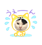 かしわもち。（個別スタンプ：23）