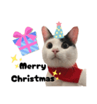 かしわもち。（個別スタンプ：32）