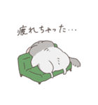 世の中をなめくさっているチンチラ3（個別スタンプ：10）