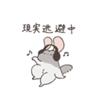 世の中をなめくさっているチンチラ3（個別スタンプ：11）