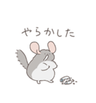 世の中をなめくさっているチンチラ3（個別スタンプ：17）