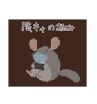 世の中をなめくさっているチンチラ3（個別スタンプ：30）