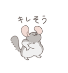 世の中をなめくさっているチンチラ3（個別スタンプ：31）