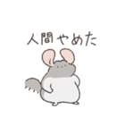 世の中をなめくさっているチンチラ3（個別スタンプ：40）