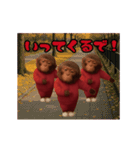THE サル（個別スタンプ：9）