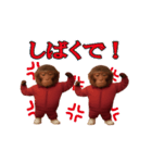 THE サル（個別スタンプ：22）