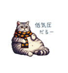 秋の猫ちゃん【かわいい・日常会話】（個別スタンプ：3）