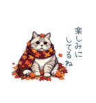 秋の猫ちゃん【かわいい・日常会話】（個別スタンプ：6）