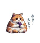 秋の猫ちゃん【かわいい・日常会話】（個別スタンプ：7）